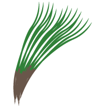 agretti