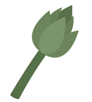 carciofo