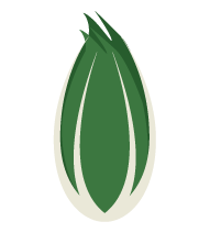 cimata