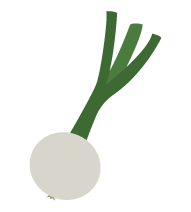 cipollotto