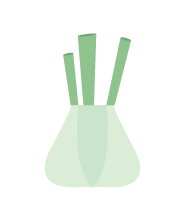 finocchio