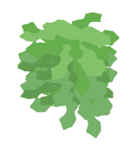 insalata