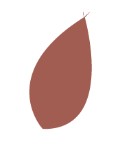 scalogno