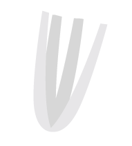 sedanobianco