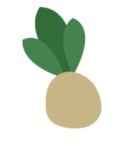 sedanorapa