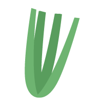sedanoverde
