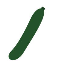 zucchina